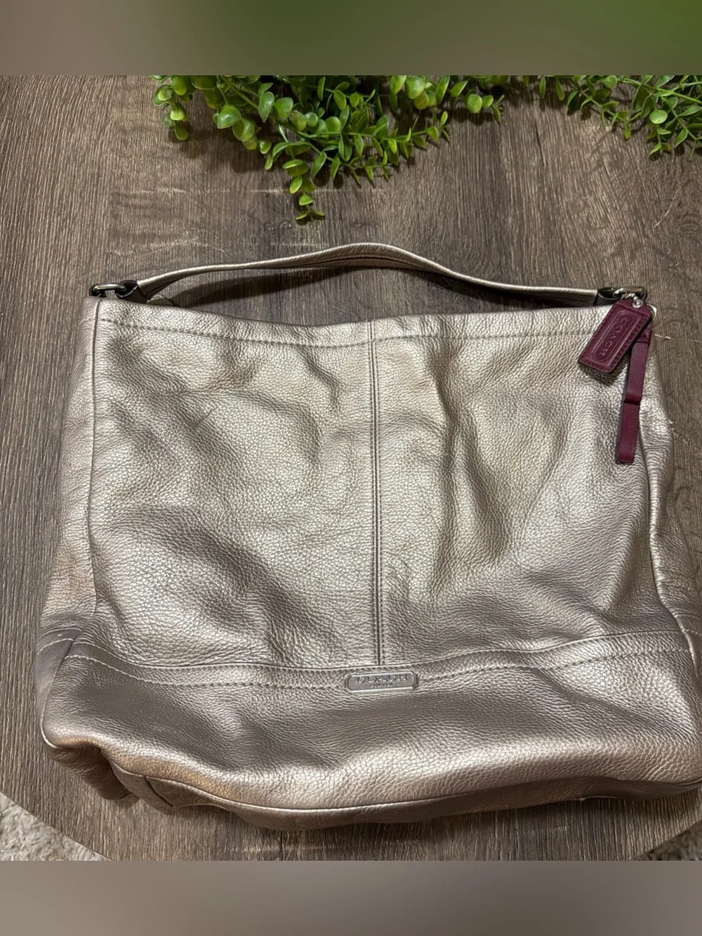 COACH F23293 Park Pebble Leather Hobo Shoulder Hand Bag Zip Metallic Platinum